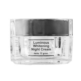 MS Glow Night Cream Luminous / Krim Malam Luminous