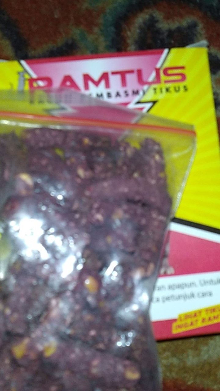 Ramtus Racun Hama Tikus Paling Ampuh Obat Pengusir Pembasmi Tikus Curut Mati Kering Tidak Bau 1 Pack