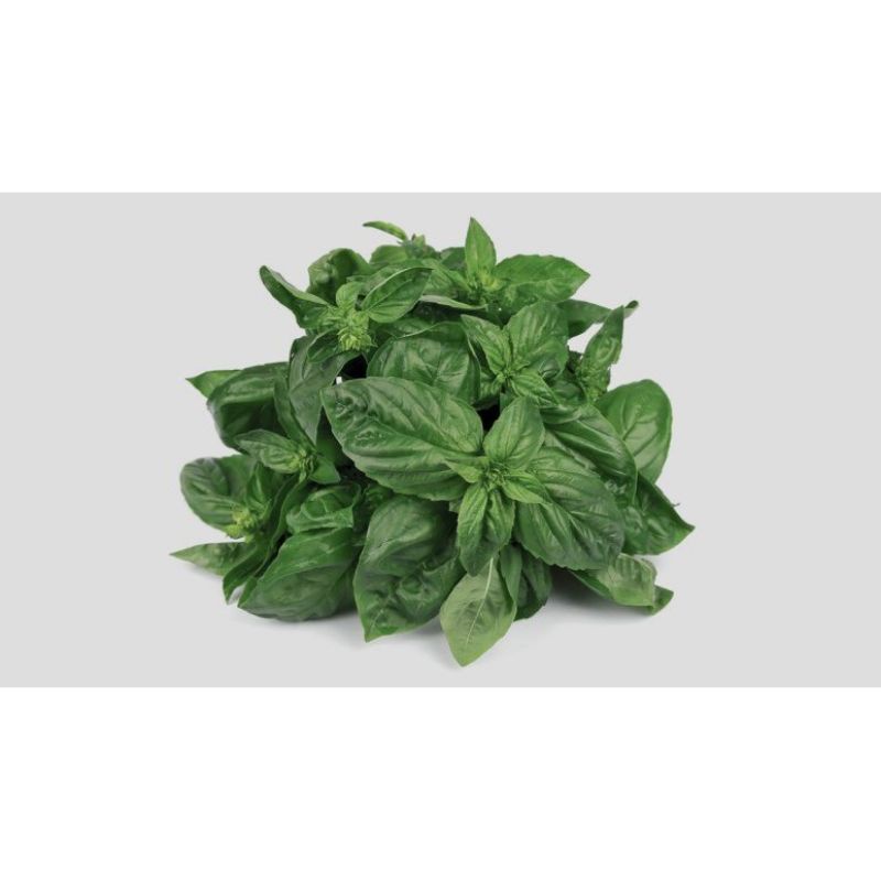 

daun kemangi per ikat