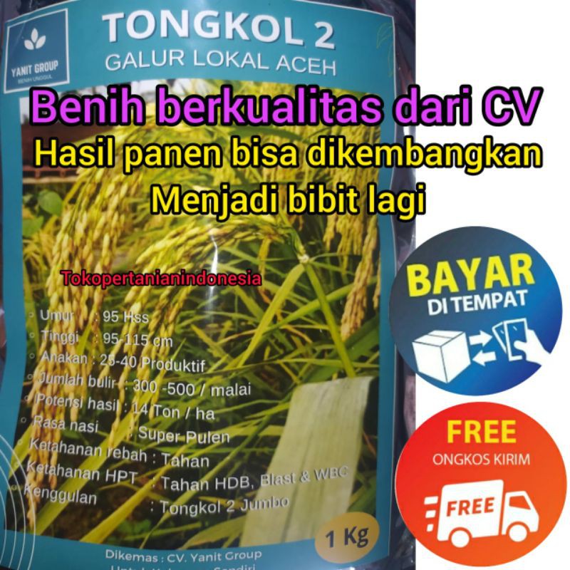 COD tongkol 2 jumbo 1kg bibit padi kualitas super original dari CV..