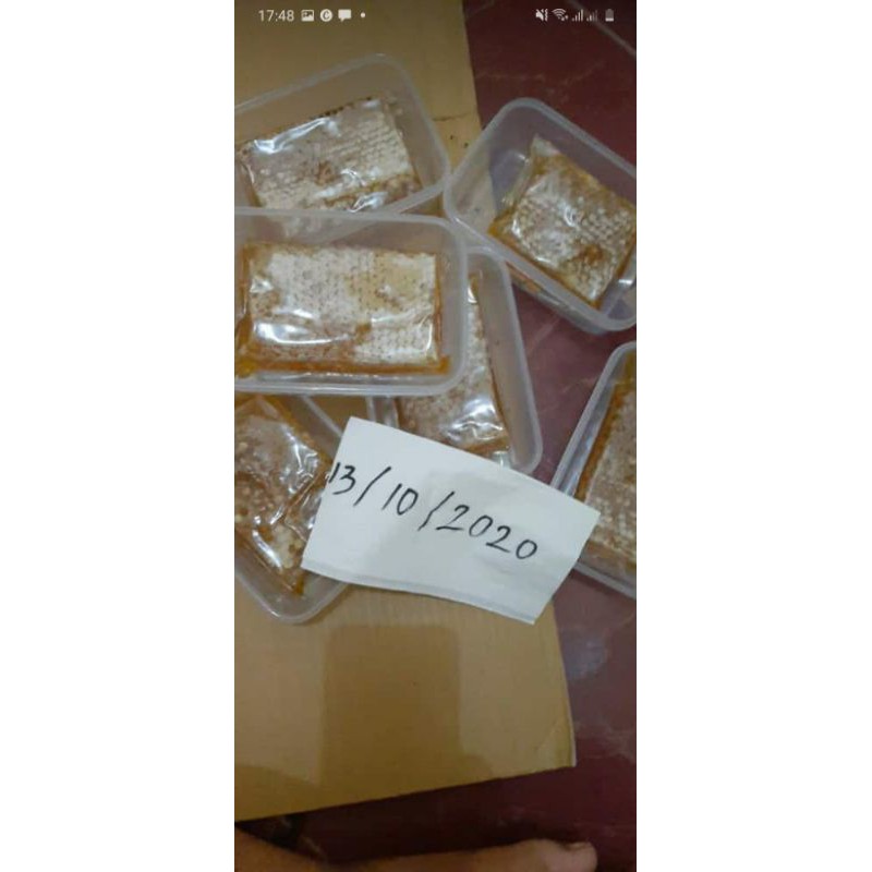 

Madu Sarang Kupuy