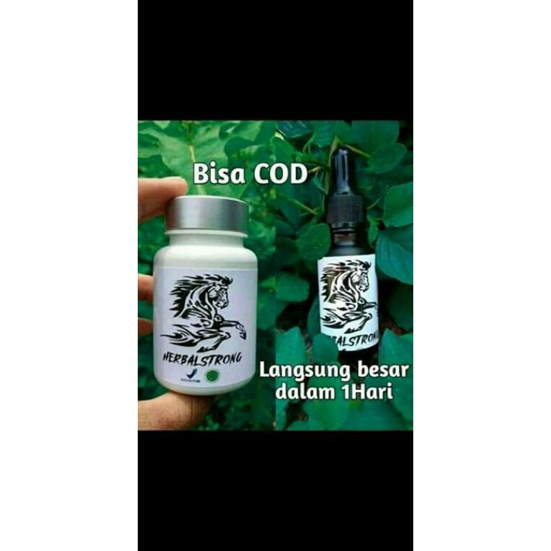 STAMINA SUPLEMEN PRIA