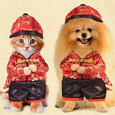Hot Item Baju Sincha Anjing Dan Kucing Jantan Type B / Baju Imlek Anjing Kecil