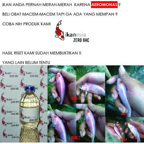 Obat Ikan Koi Paling Ampuh Zero Bac - 100 ml