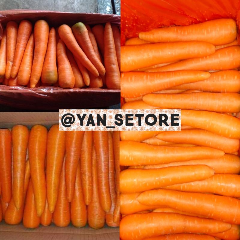 

WORTEL BERASTAGI impor.segar dan fress (1kg)