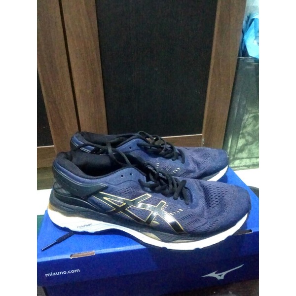 Asics gel kayano 24