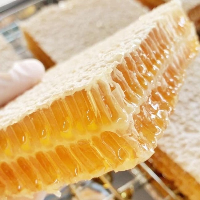 Pure Honey Comb 100 gr / 250gr - Madu Sarang Asli 100% Murni Raw Honey Premium Quality