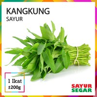 

SAYUR KANGKUNG / IKAT - FC PALEMBANG