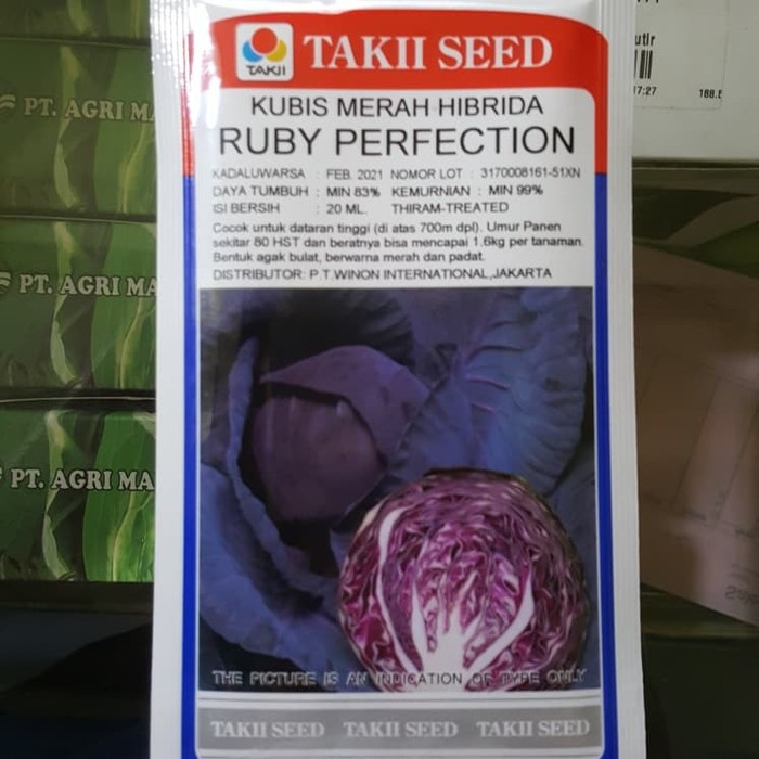 Bibit Kubis Merah Takii Seed Ruby Perfection 20 ml / Benih Kubis Merah.