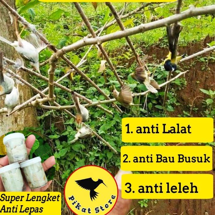 Hot PULUT BURUNG LEM BURUNG LEM PULUT BURUNG LEM PIKAT BURUNG GETAH PIKAT BURUNG GETAH BENDO LEGET B