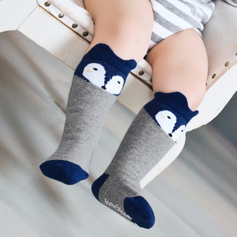 BOBORA Kaos  Kaki  Bayi Anak  Panjang Selutut Bahan Katun 