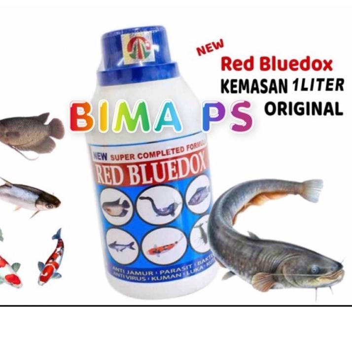 경 red bluedox 1liter Terlaris