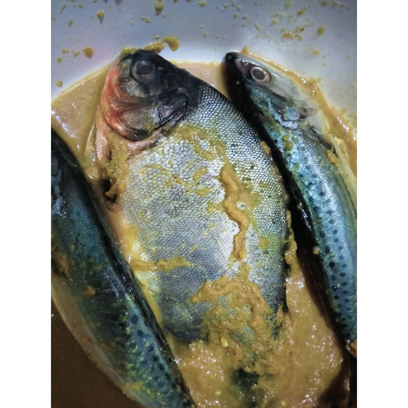 

IKAN FRESH BUMBU KUNING ISI 4 SIAP MASAK