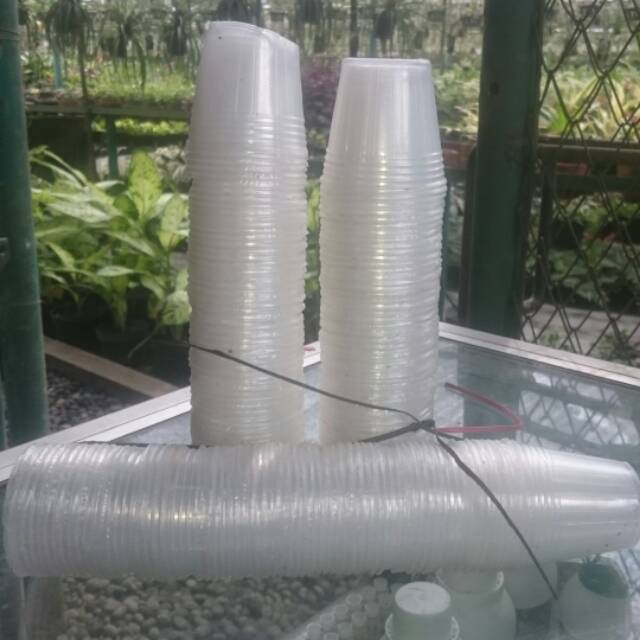 Pot Bibit Anggrek Pot Transparan 5 Cm Atau Fleksibel Cup