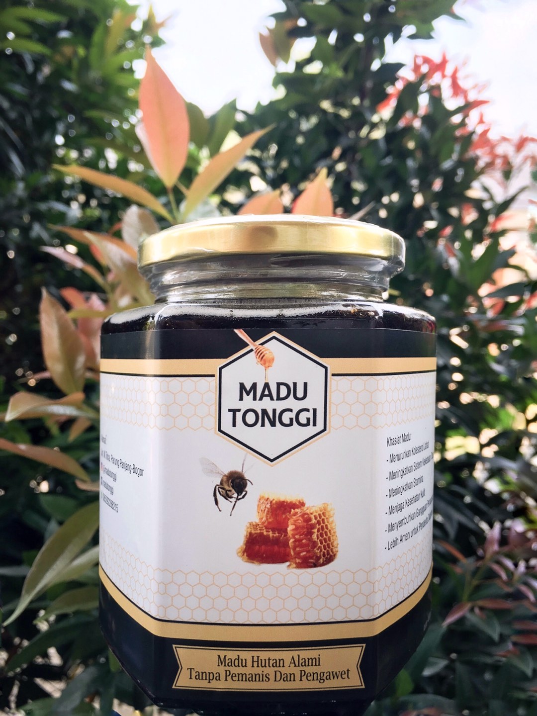 Grosir Jar Toples Hexagonal Kaca 500ml Wadah Kemasan Makanan