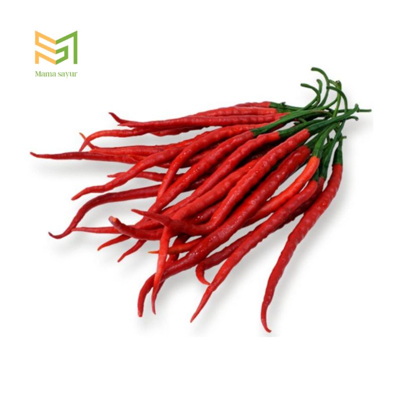 

Cabai keriting merah segar per pack