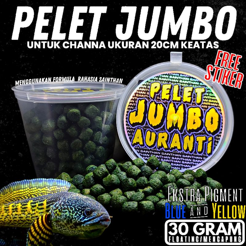 Pelet Jumbo Auranti 30 Gram SaintHan