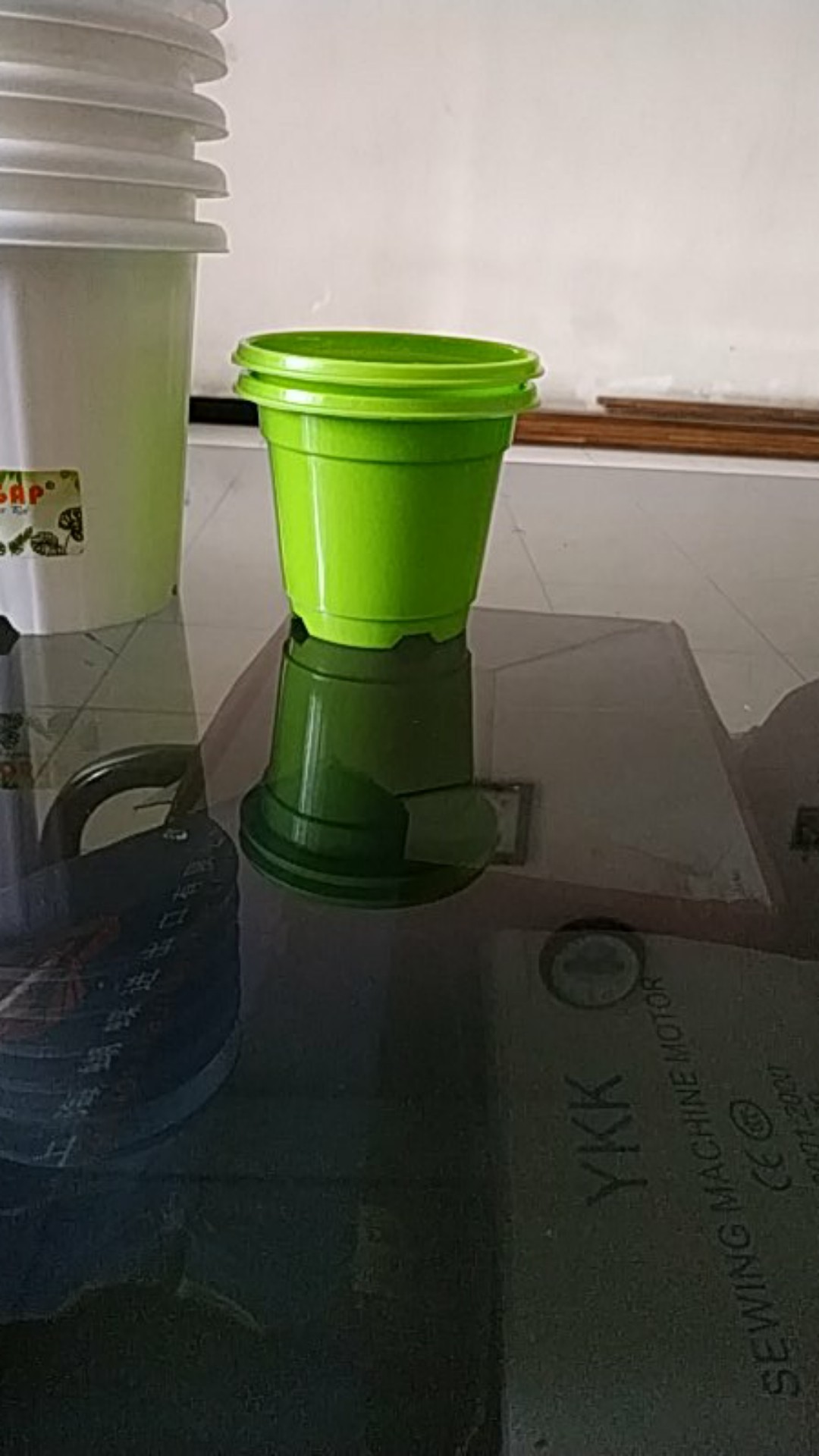 Pot Tanaman-bunga Bibit 9cm 5309-dx (lucky Star)