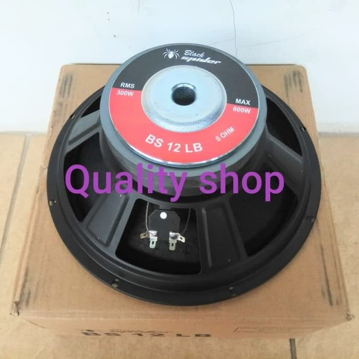speaker low 12 inch