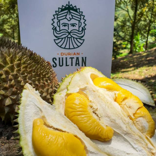

Durian Musang King / Durian Sultan / Duren Sultan / Duren Musang King Impor dari Malaysia/ Upin ipin