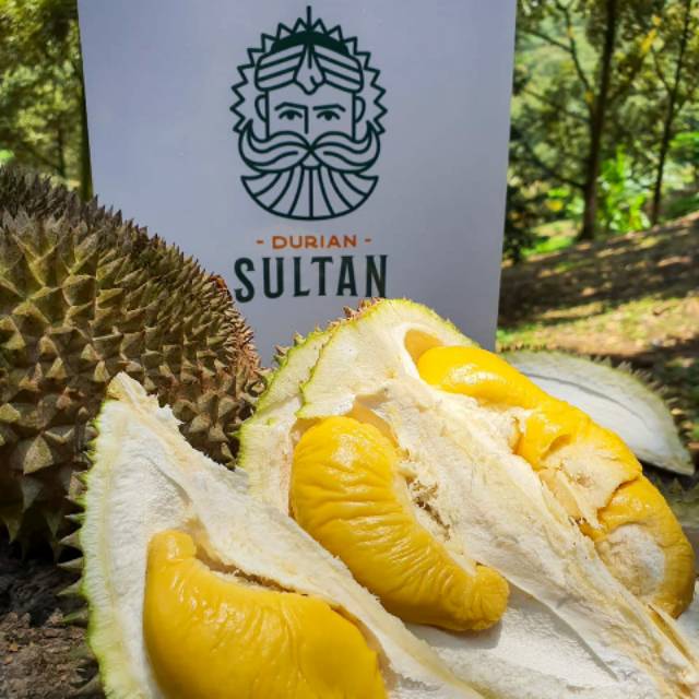 Durian Musang King / Durian Sultan / Duren Sultan / Duren Musang King Impor dari Malaysia/ Upin ipin