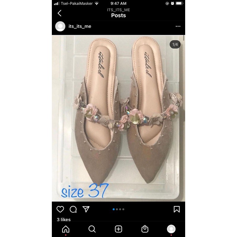 ittaherl halsey bloom