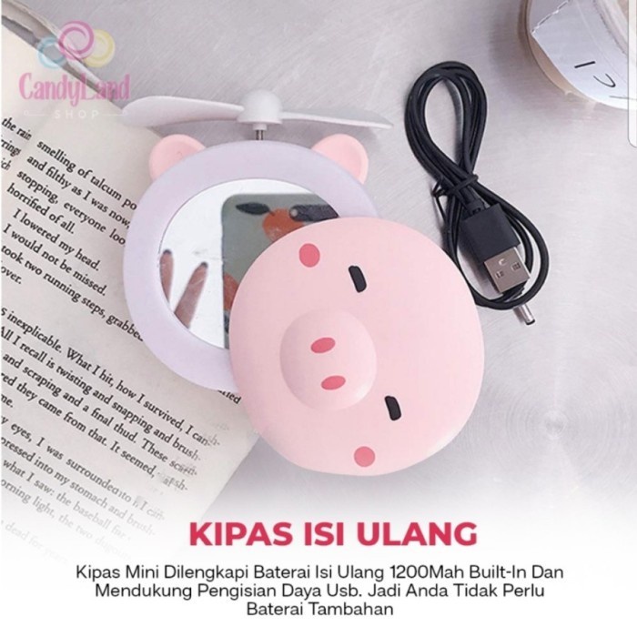 Kipas Cermin Lampu LED + Kipas Angin Mini Portable USB BERUANG CAT