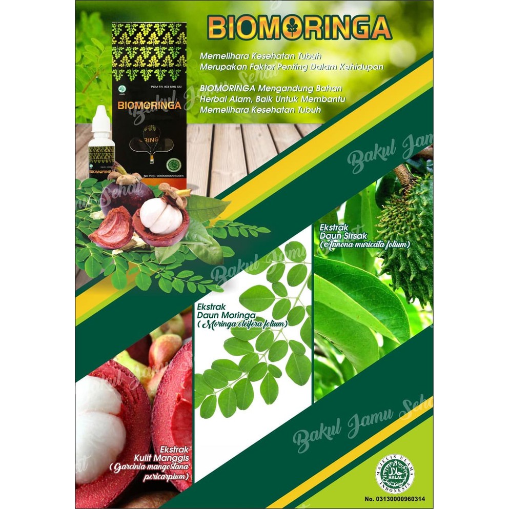 BIO   BIO MORINGA   MORINGA   BIO 3 SERIES MORINGA Diskon