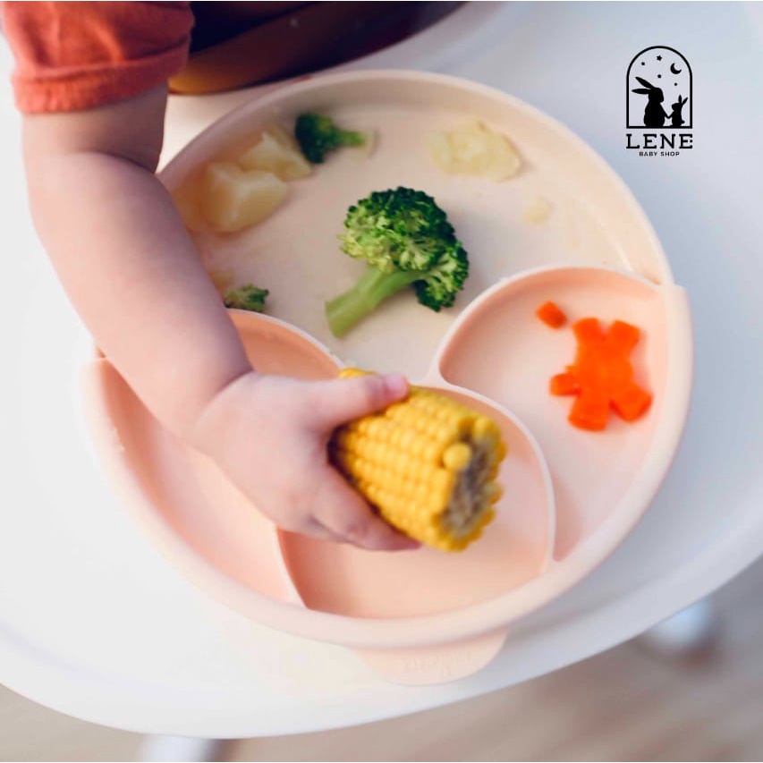 Miniware Healthy Meal Set Piring MPASI Bayi Anak