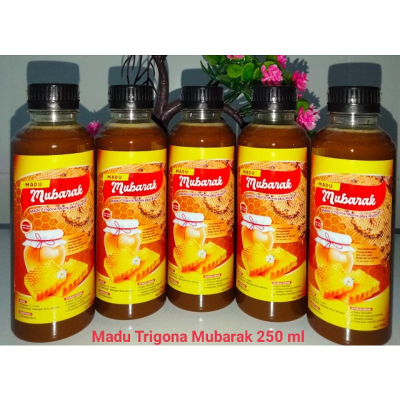 

Madu Trigona Mubarak 250 ml