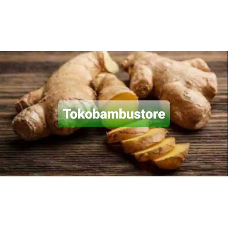 

Jual temulawak segar fresh / temu lawak segar-az