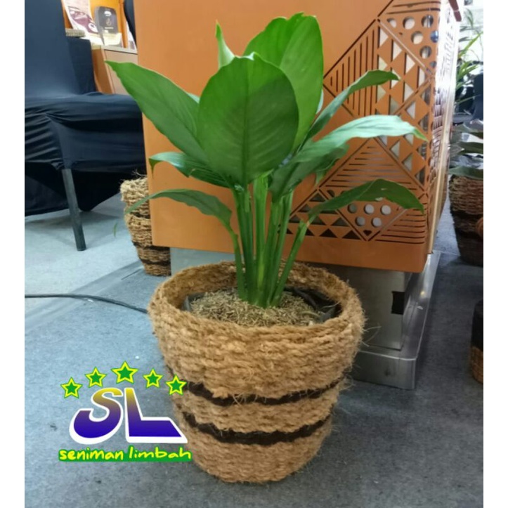 Pot Bunga Besar Pot Bunga Sabut Kelapa Pot Anggrek Bulan
