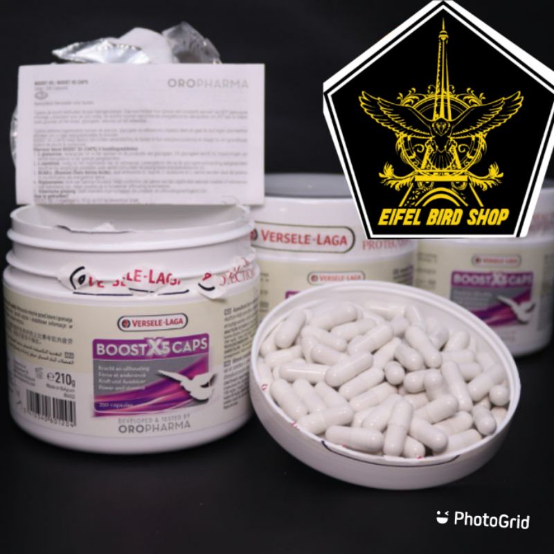 BOOST X5 CAPS 1kapsul versele laga obat merpati boostx5caps 1 butir