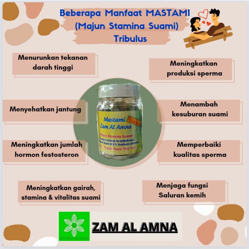 MAJUN STAMINA SUAMI, MASTAMI ZAA, MASTAMI ZAM AL AMNA
