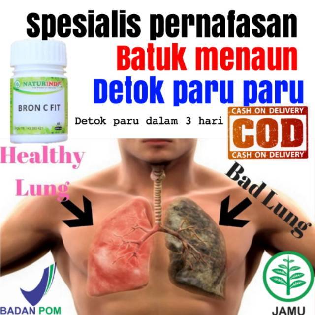 Obat gurah paru hidung tersumbat batuk berdahak hilang penciuman tbc anosmia berlendir herbal bron c fit-1