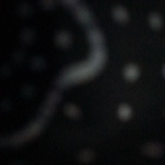 Batik Cople Motif Ayam Ketawa