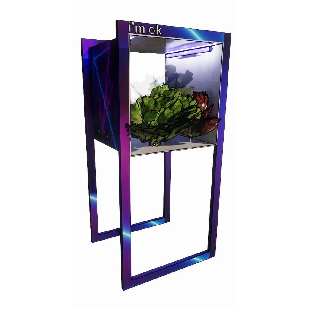 UV-BOX