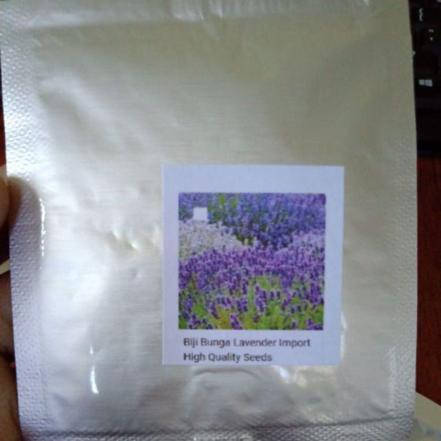 Biji Bunga Lavender Import High Quality Seeds