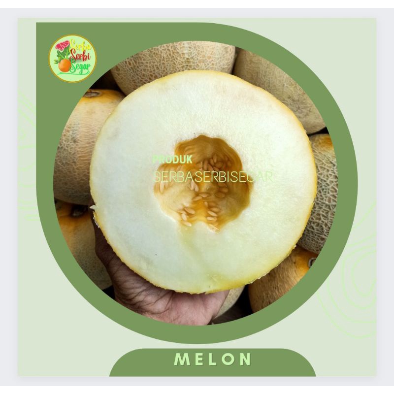 

MELON SEGAR +- 500-1000 GRAM