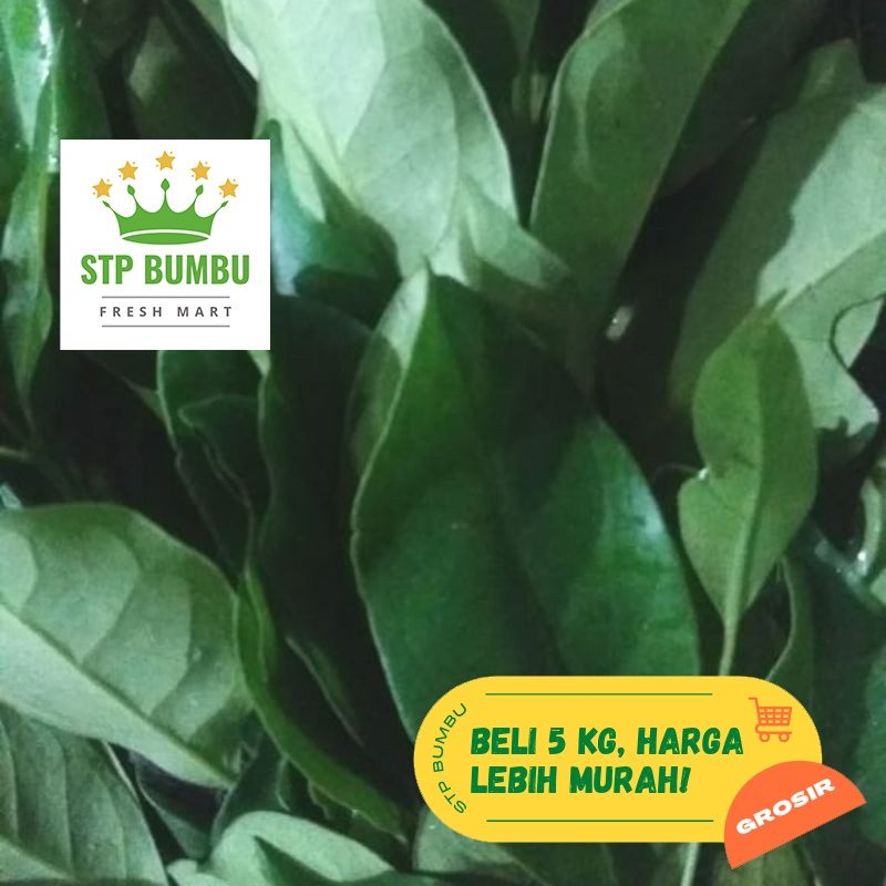 Daun Salam Segar Fresh 1 kg