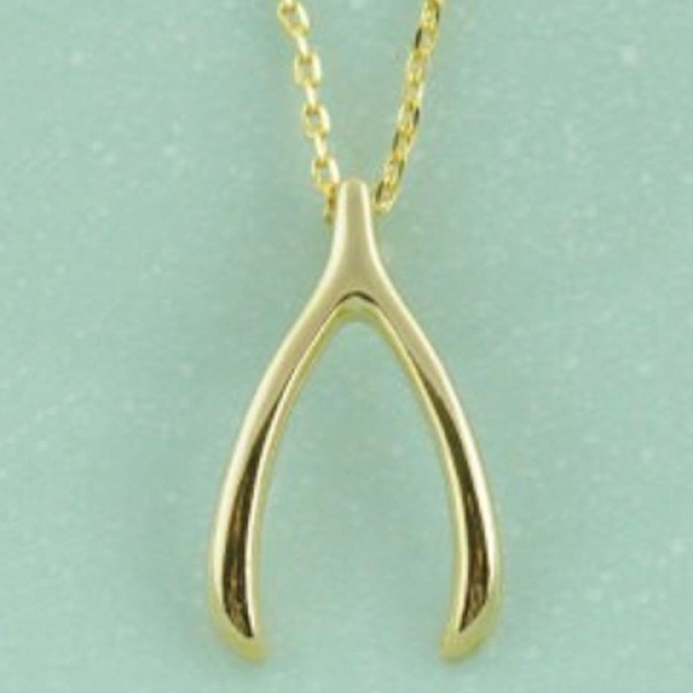 Hu Hu Hu Hu Hu Alat Bantu Pasang Kacamata♡ Kalung Rantai Dengan Liontin Bentuk Tulang Wishbone Untuk Hadiah