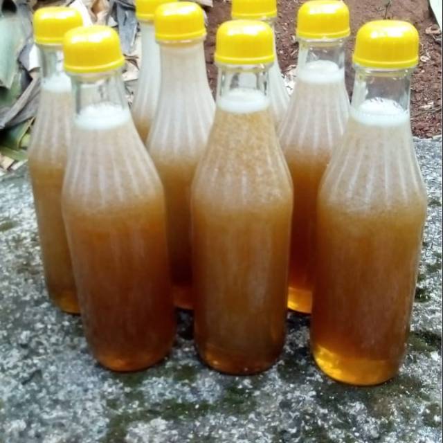 

Madu odeng hutan baduy madu hutan baduy madu murah madu asli madu 350ml madu murni 1000%