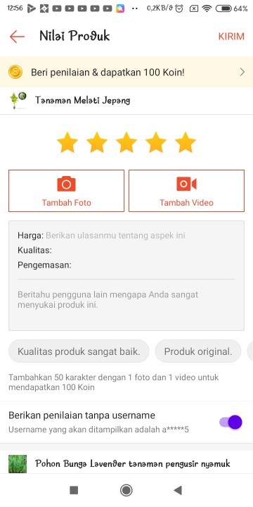 Pohon Bunga Lavender Tanaman Pengusir Nyamuk
