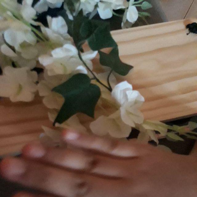 Daun Anggur Plastik/ Daun Anggur Artficial