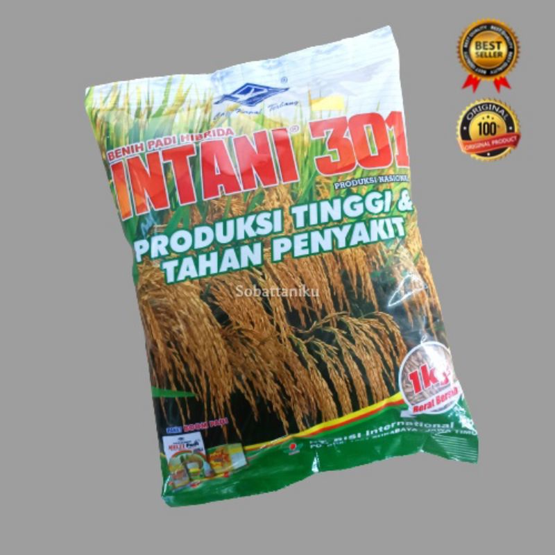 COD BENIH PADI HIBRIDA MAPAN 05 dan PADI INTANI 301 1 Kg