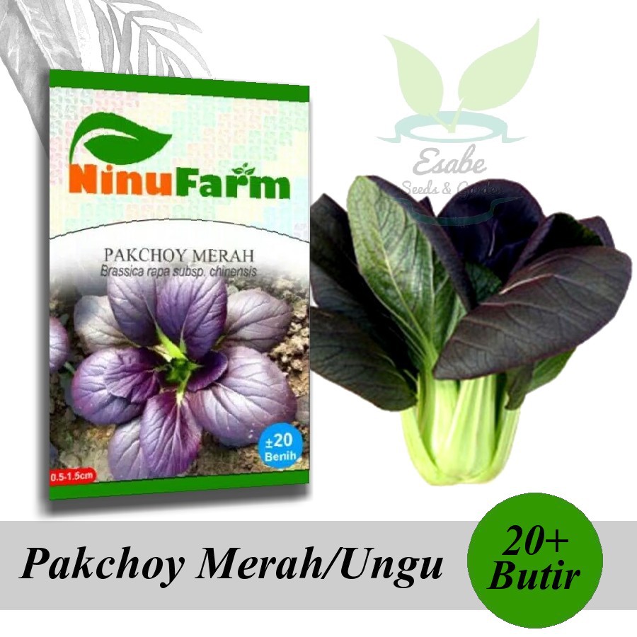 Biji Benih Pakchoy Merah - Ninu Farm