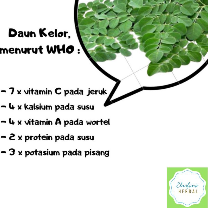 Teh Celup Daun Kelor/Moringa Tea/Teh Herbal (Antikanker &amp; Diabetes)