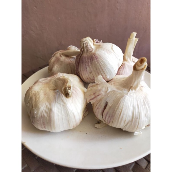 

Bawang putih