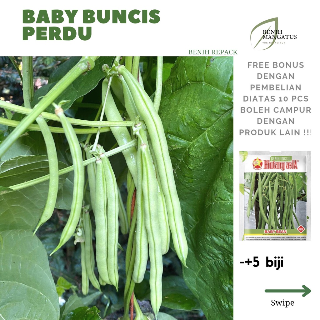 Jual C Benih Baby Buncis Perdu Biji Tanaman Sayuran Baby Bean Bintang Asia Repack Murah