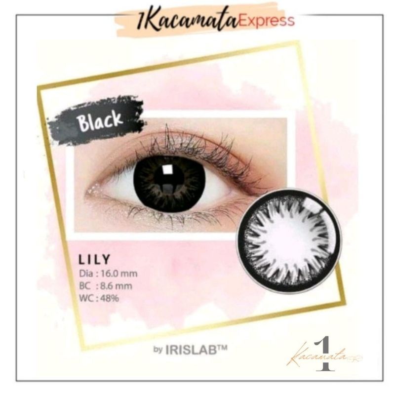 SOFTLENS WARNA